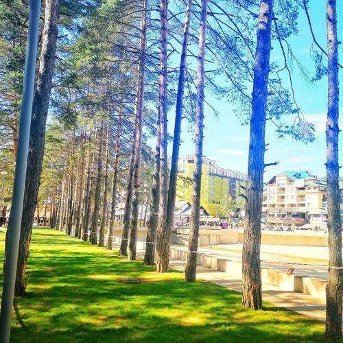 Lux Apartman Boris