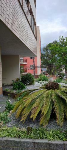 Apartamento Loft Para�so Do Alto