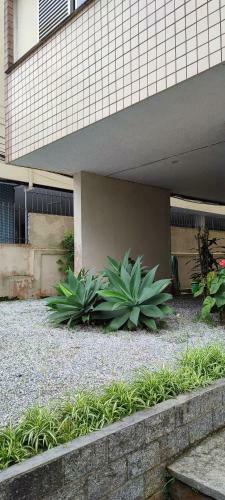 Apartamento Loft Para�so Do Alto
