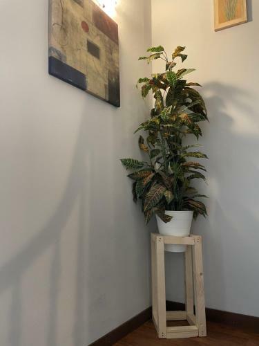 Hostal El Nuevo Salau