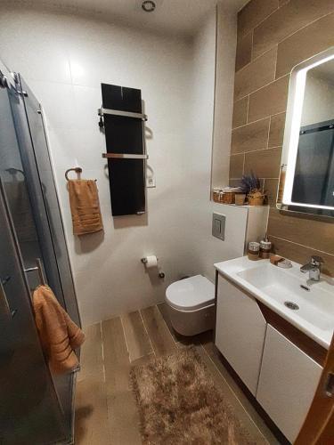 Apartman Mila Vila Elsa 1