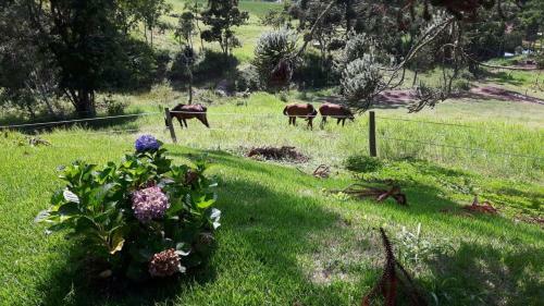 Sitio Haras Vitoria