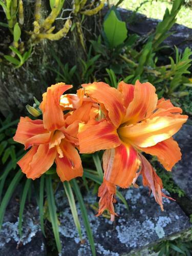 S�tio Garanhus