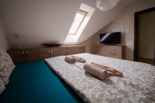 Apartman Zvezdana Prasina