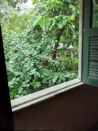Est�ncia Verde