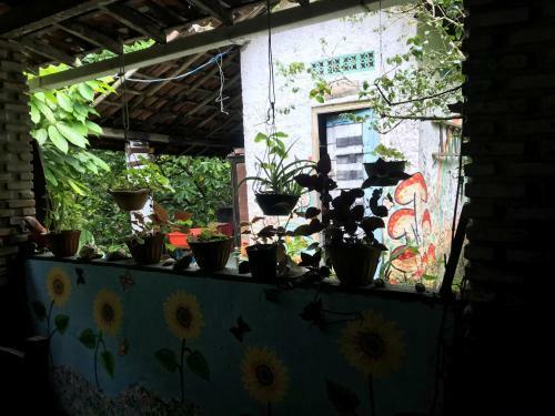 Est�ncia Verde