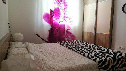Apartman 6