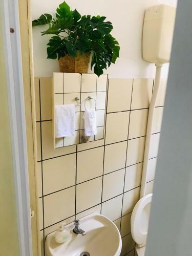 Apartamento Kactu?s Loft