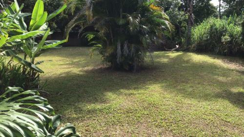 Apartamento Mattoso House