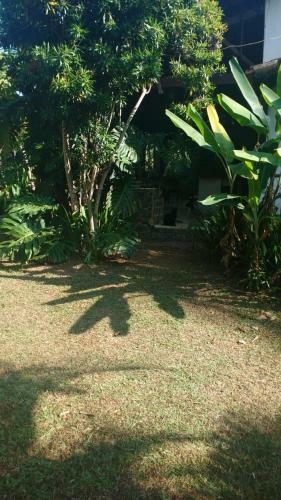 Apartamento Mattoso House