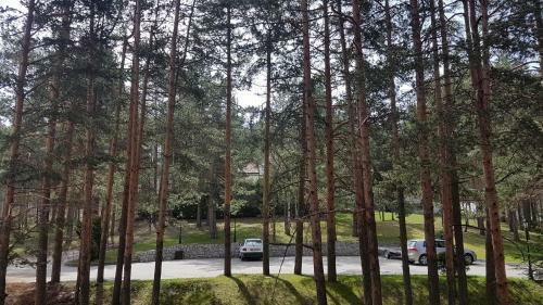 Apartman Anu?ka - Vila Pekovi?