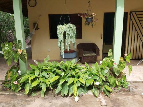 S�tio Guapuruvu