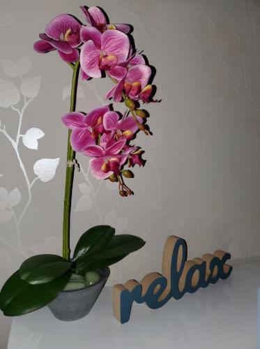Apartamentos Zlatibor Hills Royal