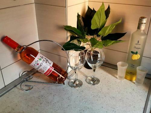 Zlatibor Apartman Evergreen