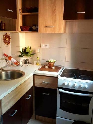 Zlatibor Apartman Evergreen