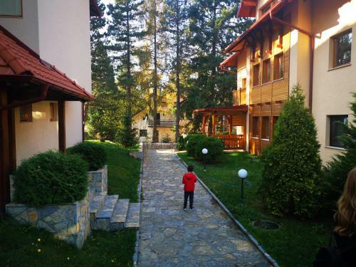 Apartman ?umski Vilenjak