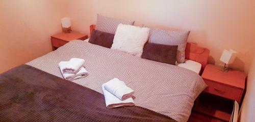 Apartman ?umski Vilenjak