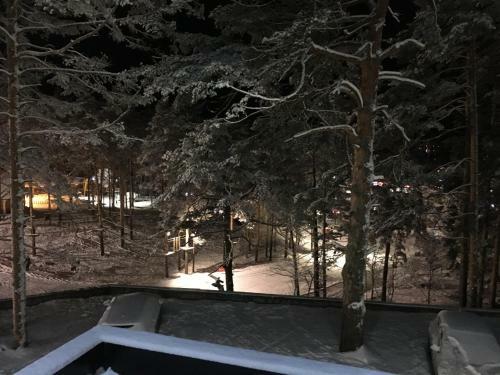 Apartman S9 Vila Pekovic Green