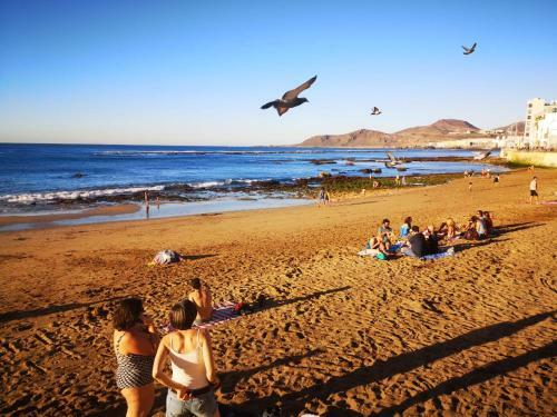 Apartamento �tico En Las Canteras