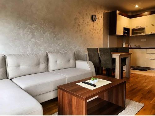 Apartamento Zlatibor_apartman26