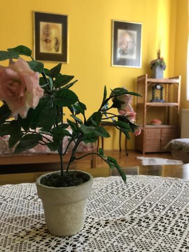 Apartman L7 Zlatibor