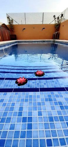 Villa Flor De Loto