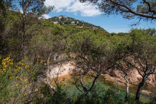 Apartamento Casa Cala Nostra - Tamariu