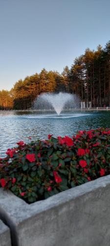 Apartman Markovi? Zlatibor