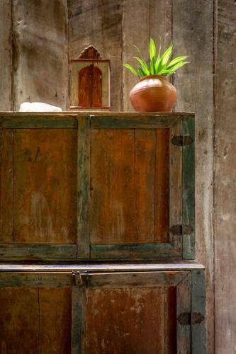Casa Bee Trancoso