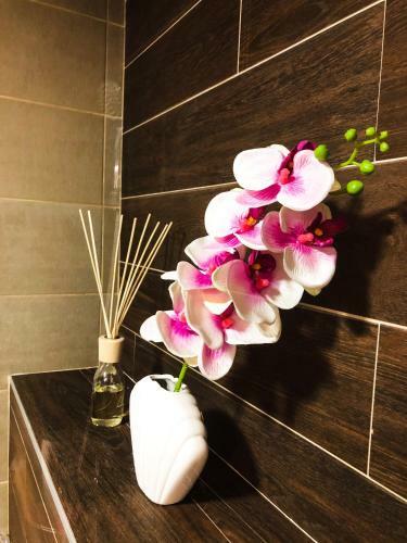 Apartment Sapphire In Zlatibor Mountain