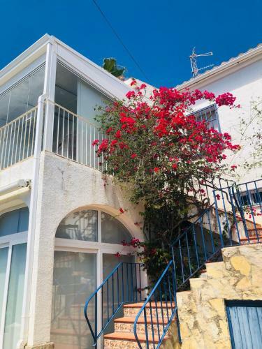 Apartamento Villa Bella Vista De Castillo