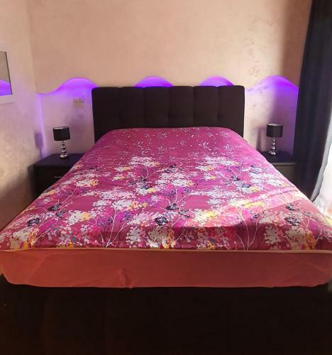 Apartman Stani?i?