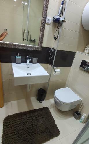 Apartman Stani?i?