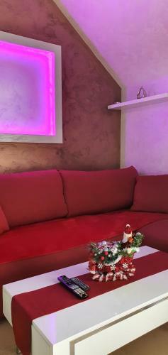 Apartman Stani?i?