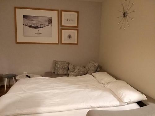 Apartman 307 U Vili Borova