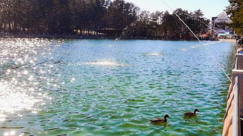 Apartamento Golden Place Zlatibor