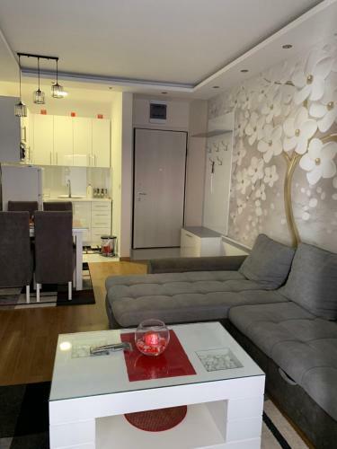 Lux Apartman Ss Zlatibor Vila Pekovic Green