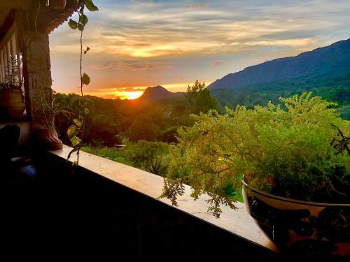 Apartamento Segredo Da Serra Guest House