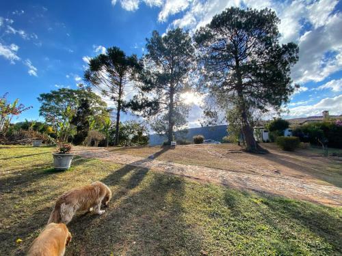 Apartamento Segredo Da Serra Guest House