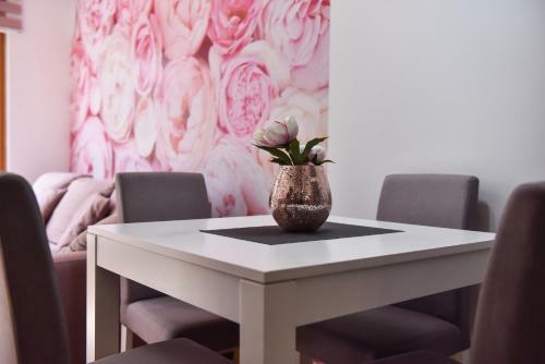 Apartment Vanja Lux Binis