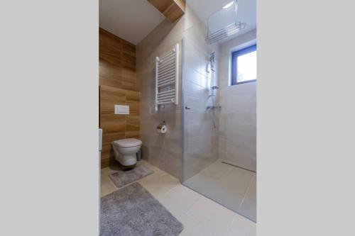 Apartment Andrija Lux 11