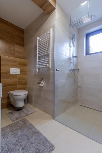 Apartment Andrija Lux 11