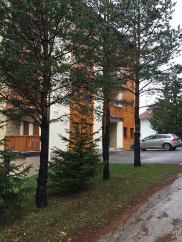 Apartman Stevani?