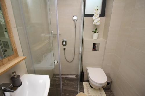 Apartman Binis 4