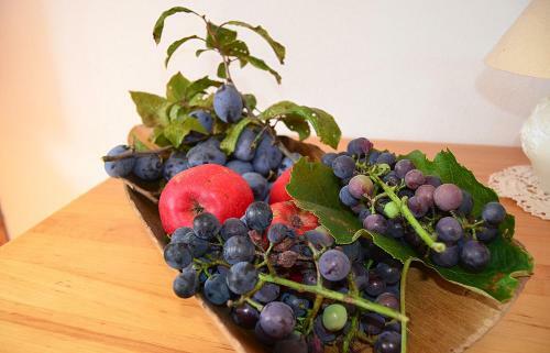 Agroturismo Turisticna Kmetija Pri Malnarjevih