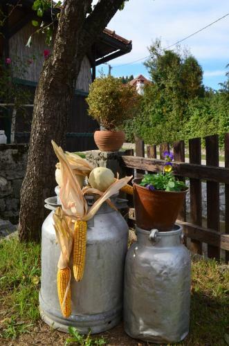 Agroturismo Turisticna Kmetija Pri Malnarjevih