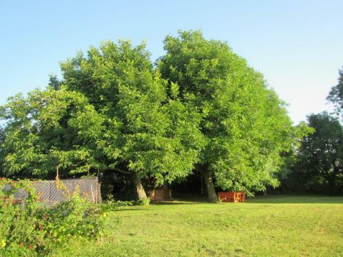 Bed & Breakfast Pod Orehi