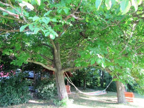 Bed & Breakfast Pod Orehi
