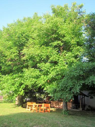 Bed & Breakfast Pod Orehi