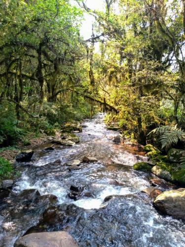 Chal� Est�ncia Cachoeira Do Avencal